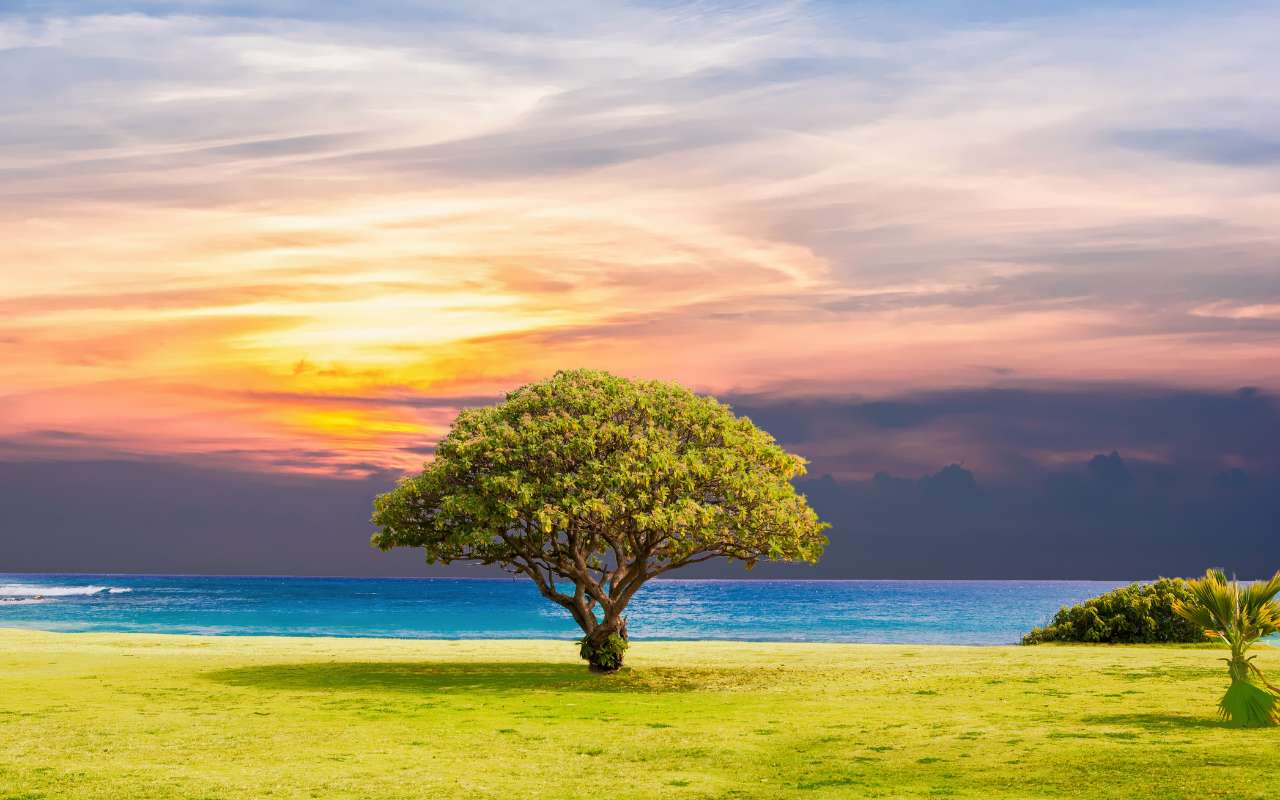 beneficios cognitivos del mindfulness